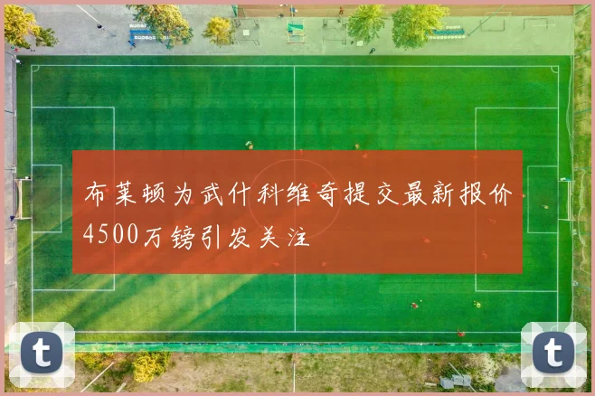布莱顿为武什科维奇提交最新报价4500万镑引发关注